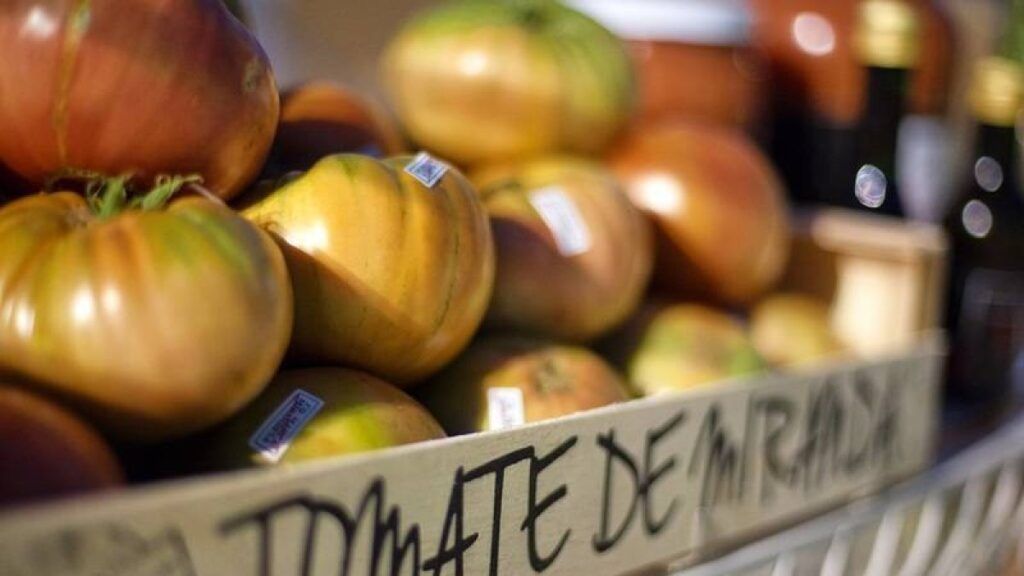 Tomate de Miranda