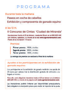 FERIA DEL ANGEL FLYER 26 02