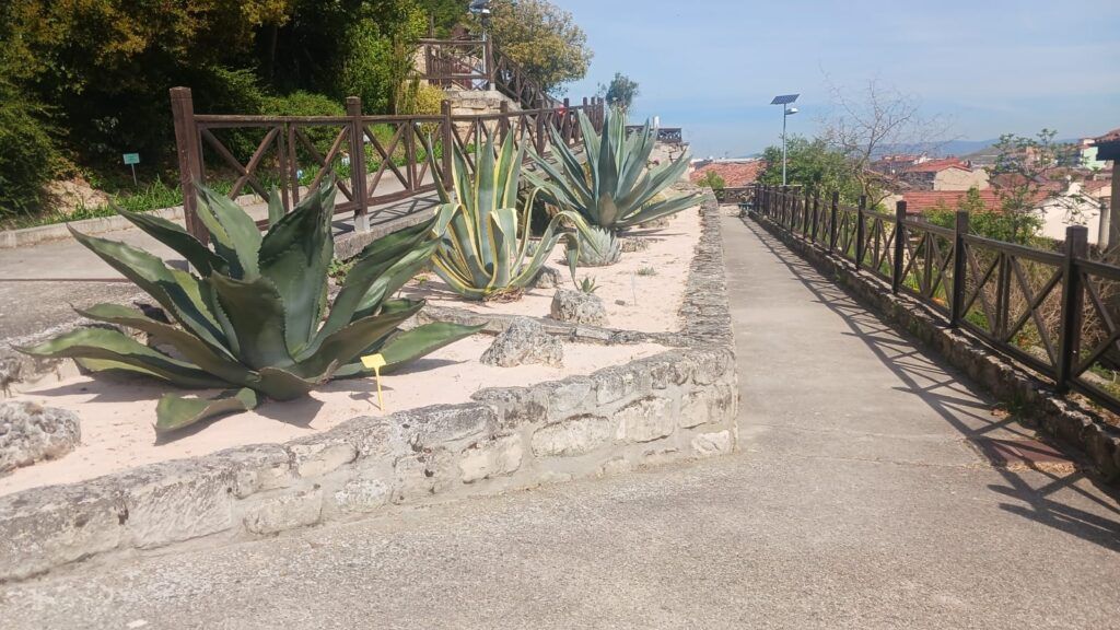 JARDIN BOTANICO 1