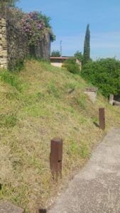 El programa de jardinería contribuye al mantenimiento y cuidado de espacios urbanos 2 JARDIN BOTANICO4
